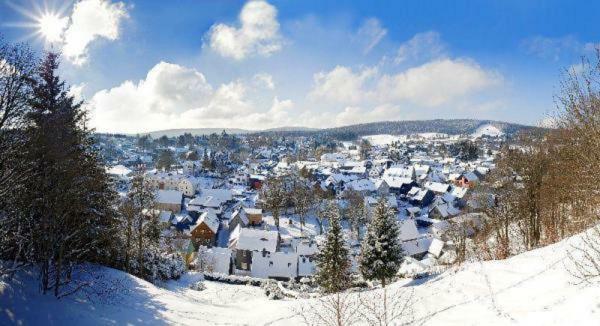 Apartment Gemuetliche Im Thueringer Wald, Nahe Des Rennsteigs - Pure Erholung